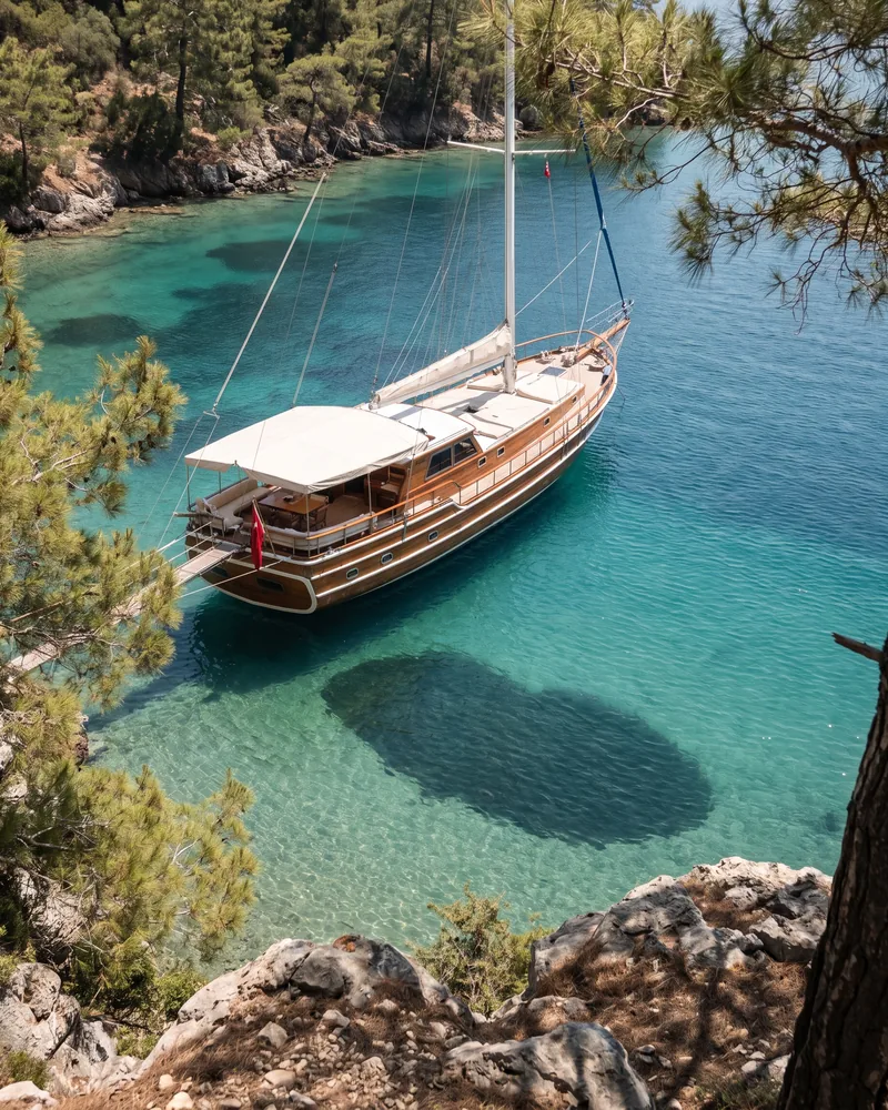 A wooden gulet at anchor in a pine-lined cove